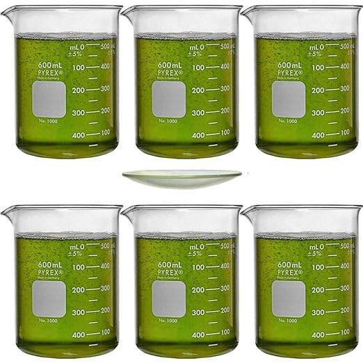 Corning Pyrex 1000-600, 600ml Low Form Griffin Beaker with Pyrex 9985-100, 100mm Pyrex Watch Glas... | Amazon (US)