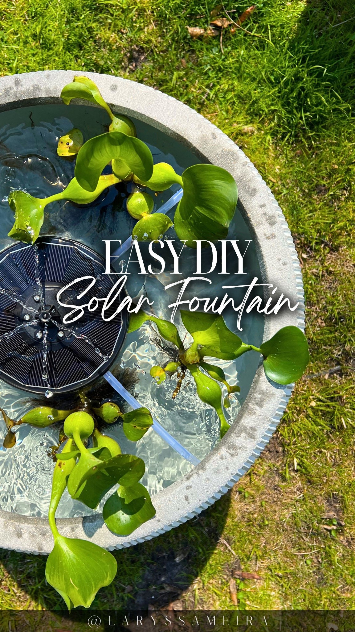 This DIY Solar Fountain I made a few years ago lives rent-free in my backyard - and my brain. 🤌✨

Even though I made it a while ago, I’m still just obsessed as the first day.
It’s affordable, beginner-friendly, and makes my patio feel like a spa. Just don’t forget to bring those plants in for the winter (ask me how I know…) 😭

⛲️ Want the links? Comment “FOUNTAIN” and I’ll slide them straight into your DMs!


-
#DIYFountain #OutdoorDIY #BackyardVibes #PatioGoals #SolarFountain #EasyDIYProject #GardenGlowUp #BackyardDecor #SpringDIY #HomeDecorDIY #BudgetBackyard #SmallSpaceGarden #DIYGardenDecor #DIYHomeProjects #BackyardInspo #PatioUpgrade #WaterFeatureDIY
