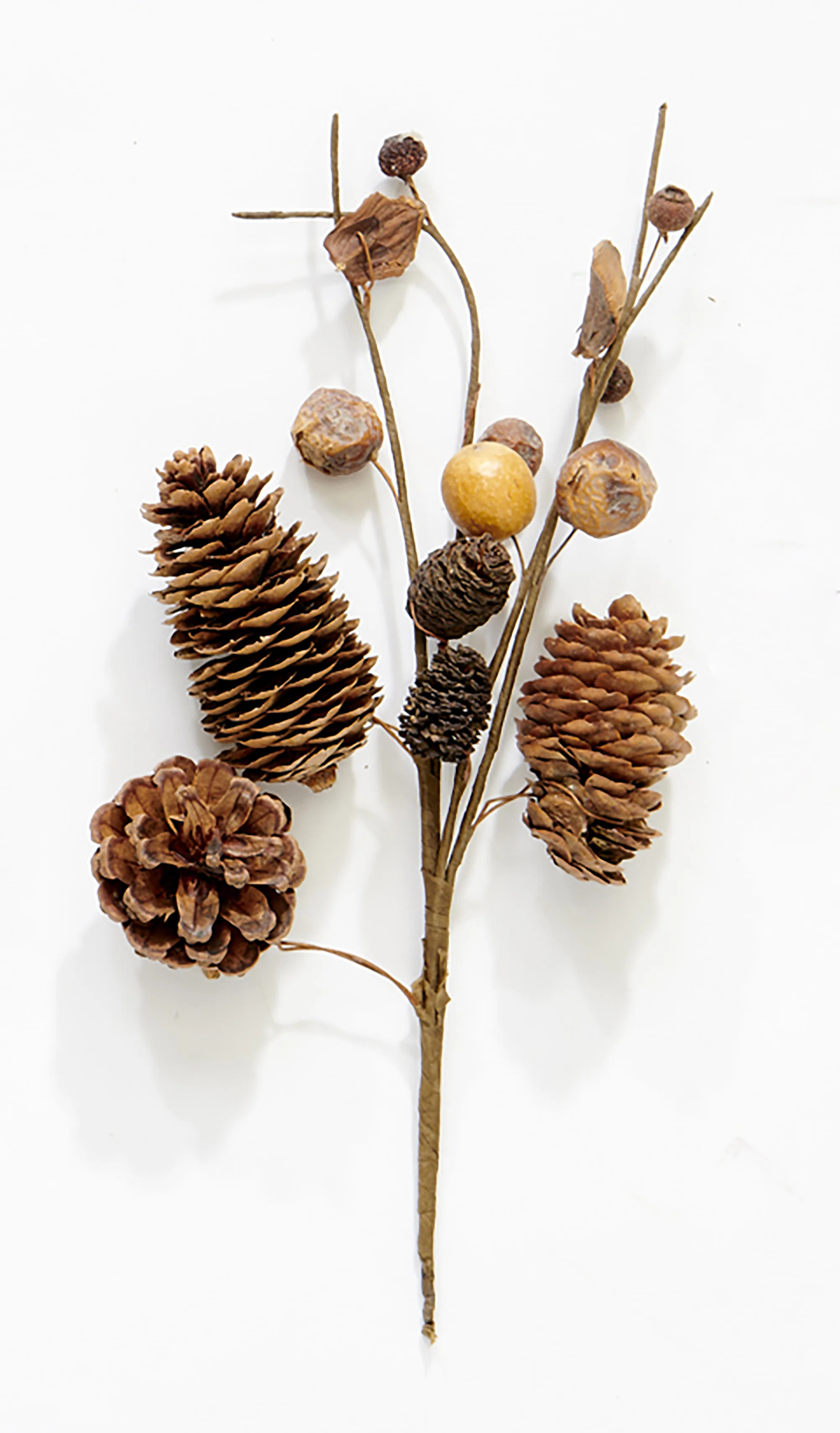 Pine Cone and Pod Pick (Set of 12) | Wayfair North America