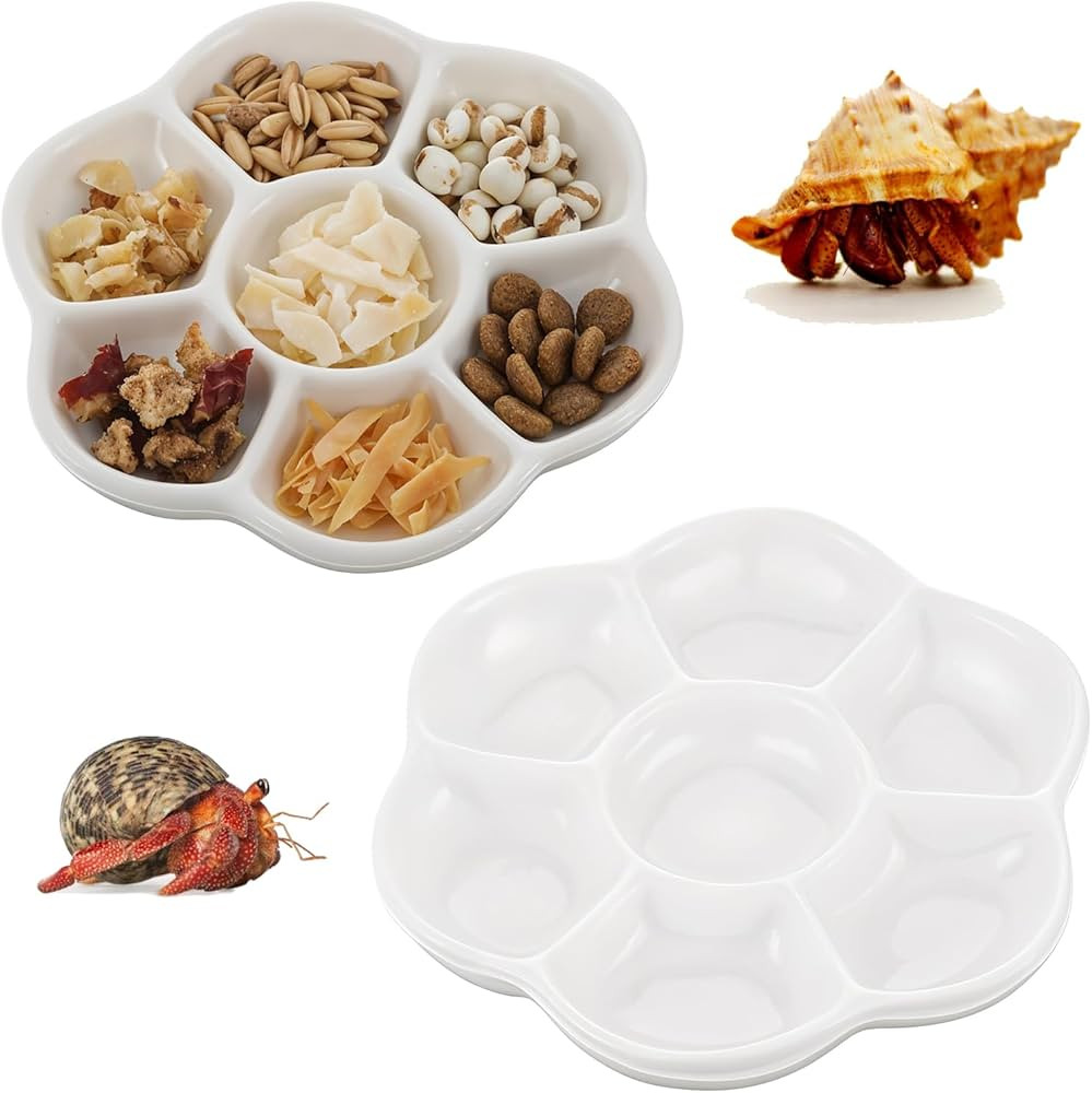 Hermit Crab Food Dish, 2 Pcs Mini Ceramic Hermit Crab Feeding Dish Tiny Reptile Water Bowl with 7... | Amazon (US)