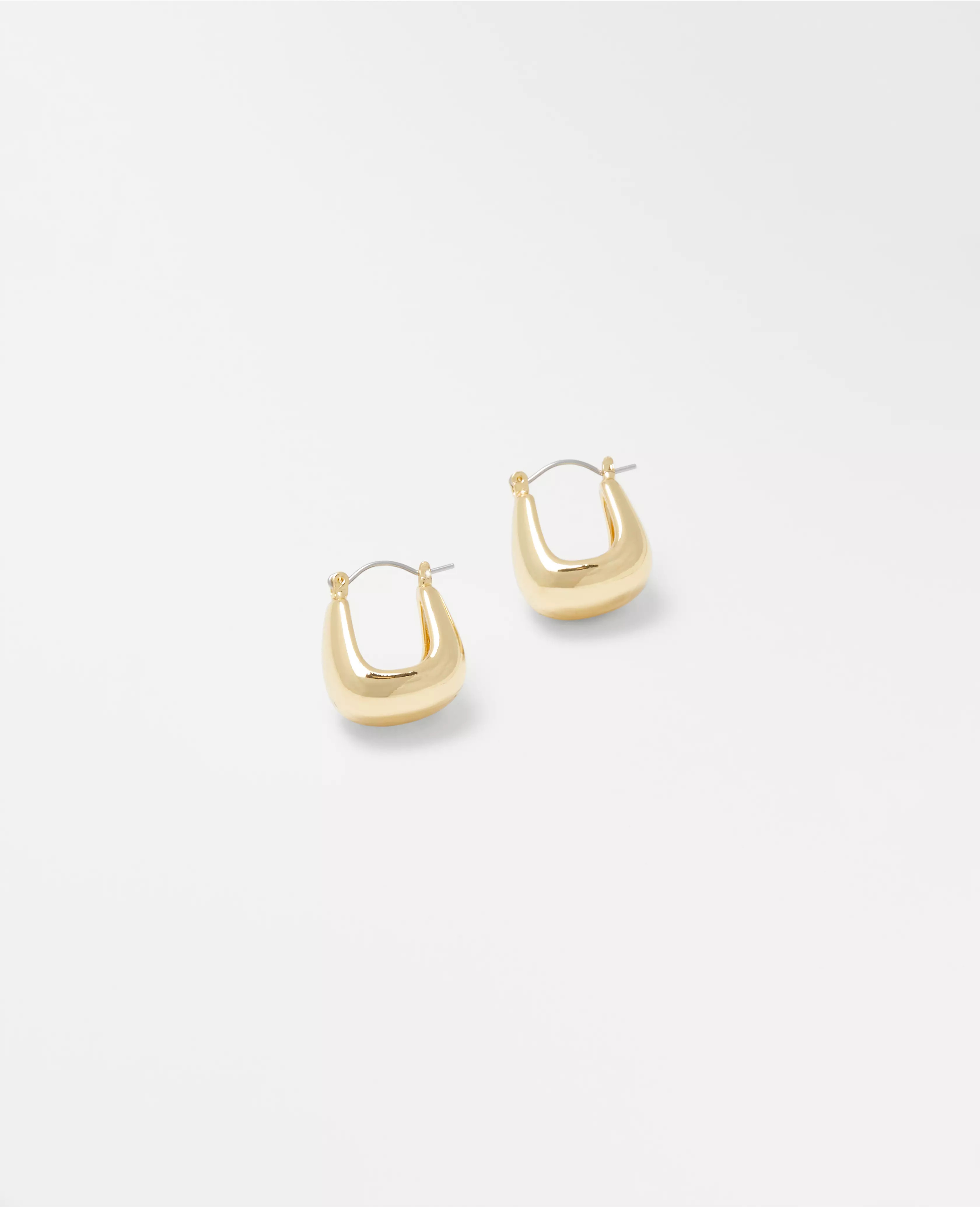 Chunky Hoop Earrings | Ann Taylor (US)
