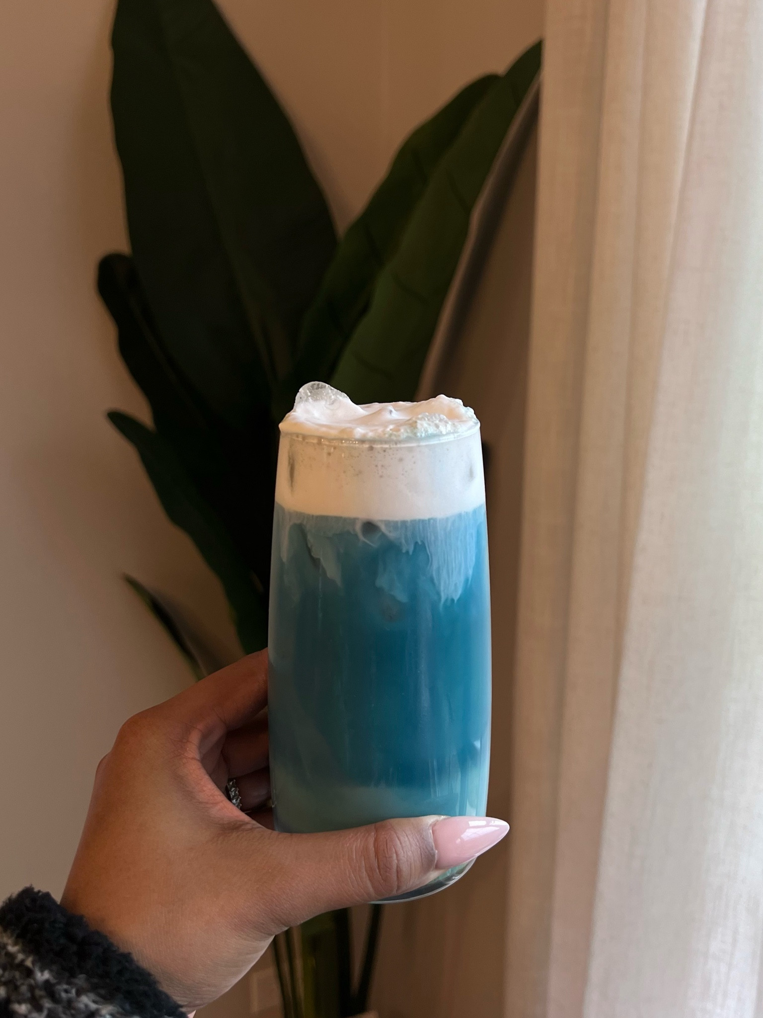 Blue matcha 🫐

#LTKSeasonal #LTKSpringSale #LTKhome