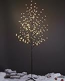 LIGHTSHARE 6.5 feet 208L LED Lighted Cherry Blossom Tree, Warm White, Decorate Home Garden, Sprin... | Amazon (US)