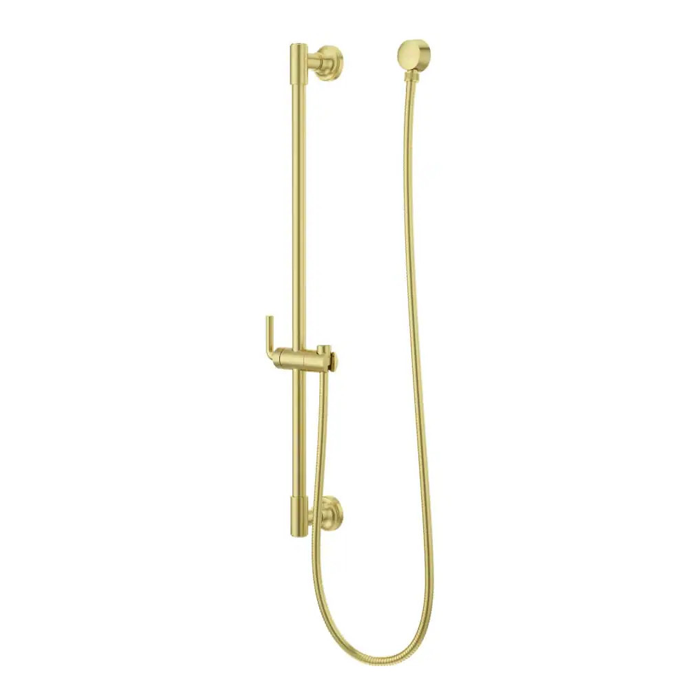 Pfister HSK40SHW Modern Round 30 Inch Slide Bar with 60 Inch Hose one_size | HSK-40SHWBG | Lowe's