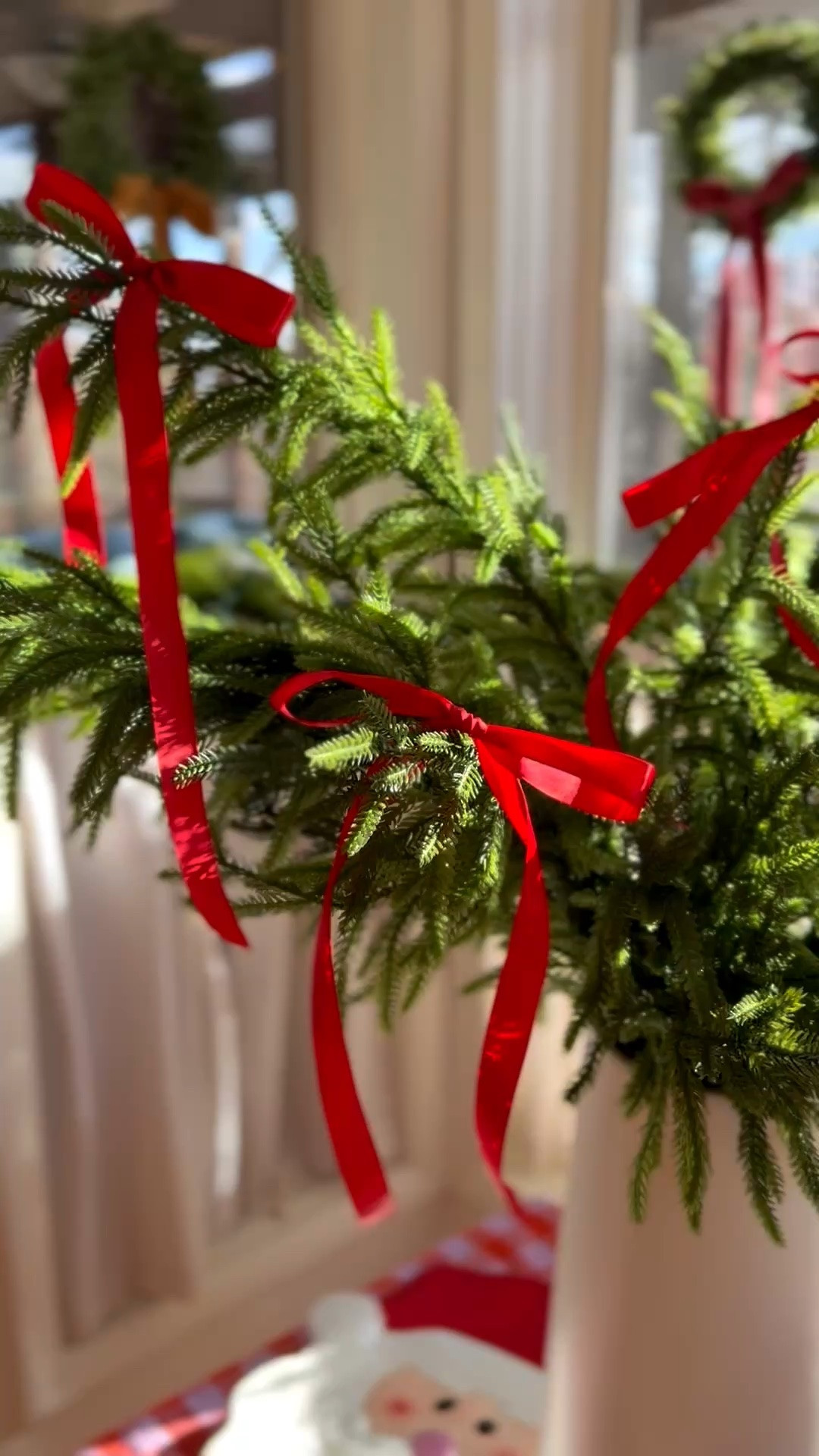 christmas greenery!! i love these norfolk pine stems !!