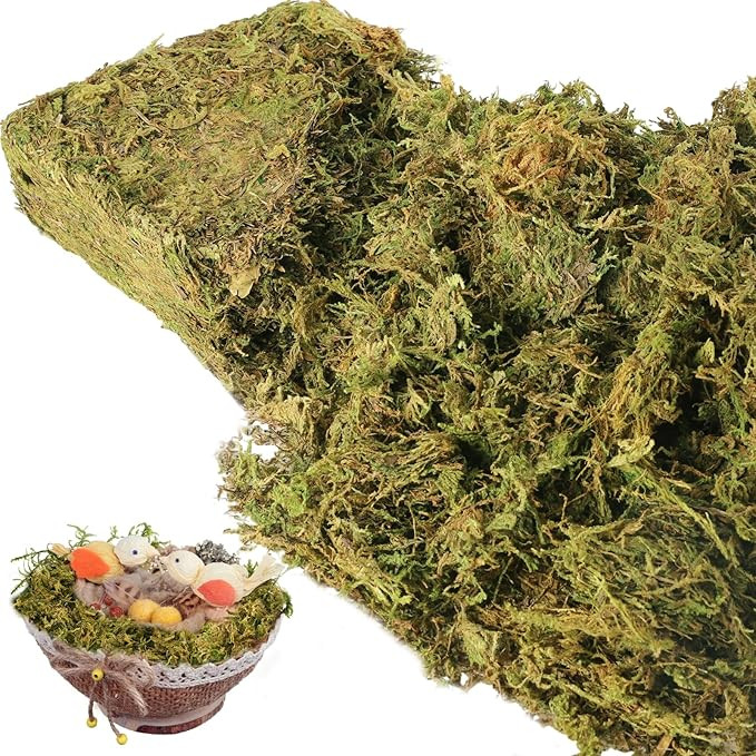 Fake Moss for Crafts- 10 OZ Artificial Moss for Potted Plants, Natural Decorative Moss for Fake P... | Amazon (US)