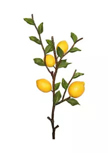 Green and Yellow Lemon Spray | Belk