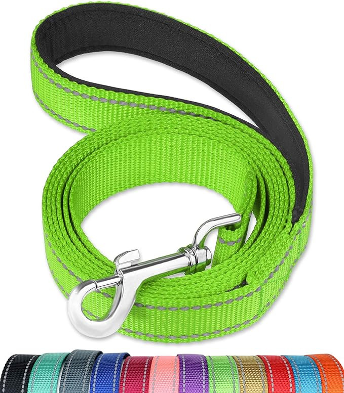 FunTags 6FT Reflective Dog Leash with Soft Padded Handle for Training,Walking Lead for Large & Me... | Amazon (US)