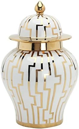 long teng Ceramic Geometric Print Ginger Jar with Lid, Traditional Porcelain Decorative Vase, Tem... | Amazon (US)