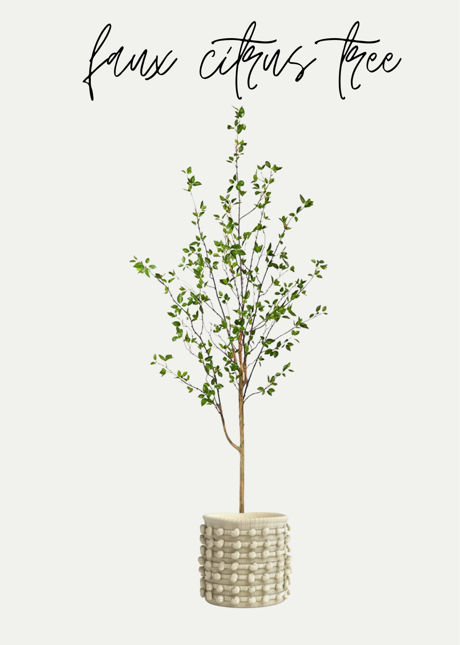 A new faux tree find that you probably haven’t seen yet! This citrus tree is so cute! 
Style tip: Adding greenery to room can add so much visual softness and warmth! 

#LTKstyletip #LTKhome #LTKFind