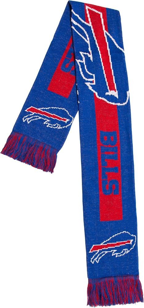 FOCO NFL (2016 Edition) Big Logo Scarf | Amazon (US)
