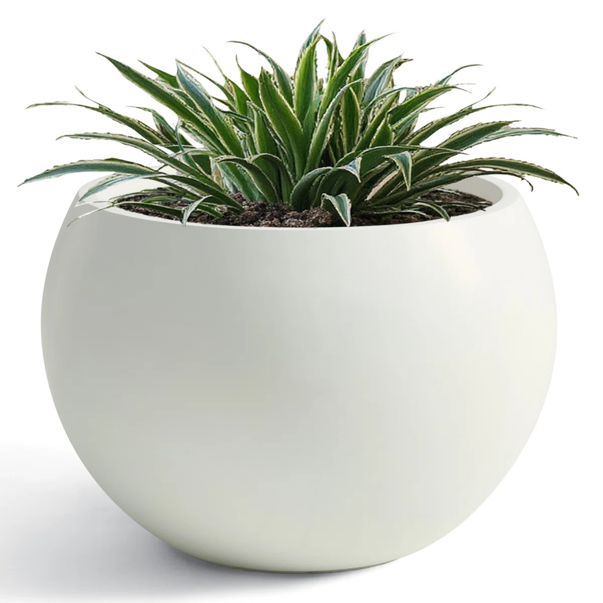 Fiberstone Sphere Planter, 21.3 inches Dia Round Flowerpot with Drainage Hole, Large Planters for... | Wayfair North America