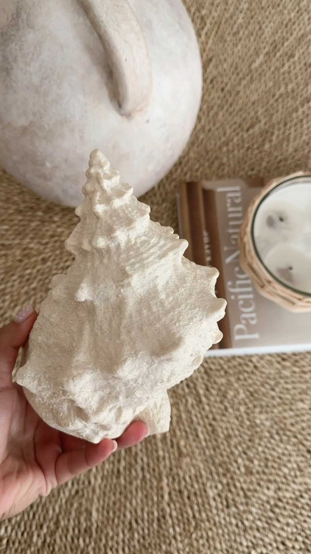 This shell looks so realistic and it’s actually a light 🥲🤍🐚 & it’s finally back in stock!

@Target #targetpartner #target #targetfind #shell #coastal #beachhouse #outdoorlight #outdoorhosting #studiomcgee #homedecor

#LTKSeasonal #LTKHome