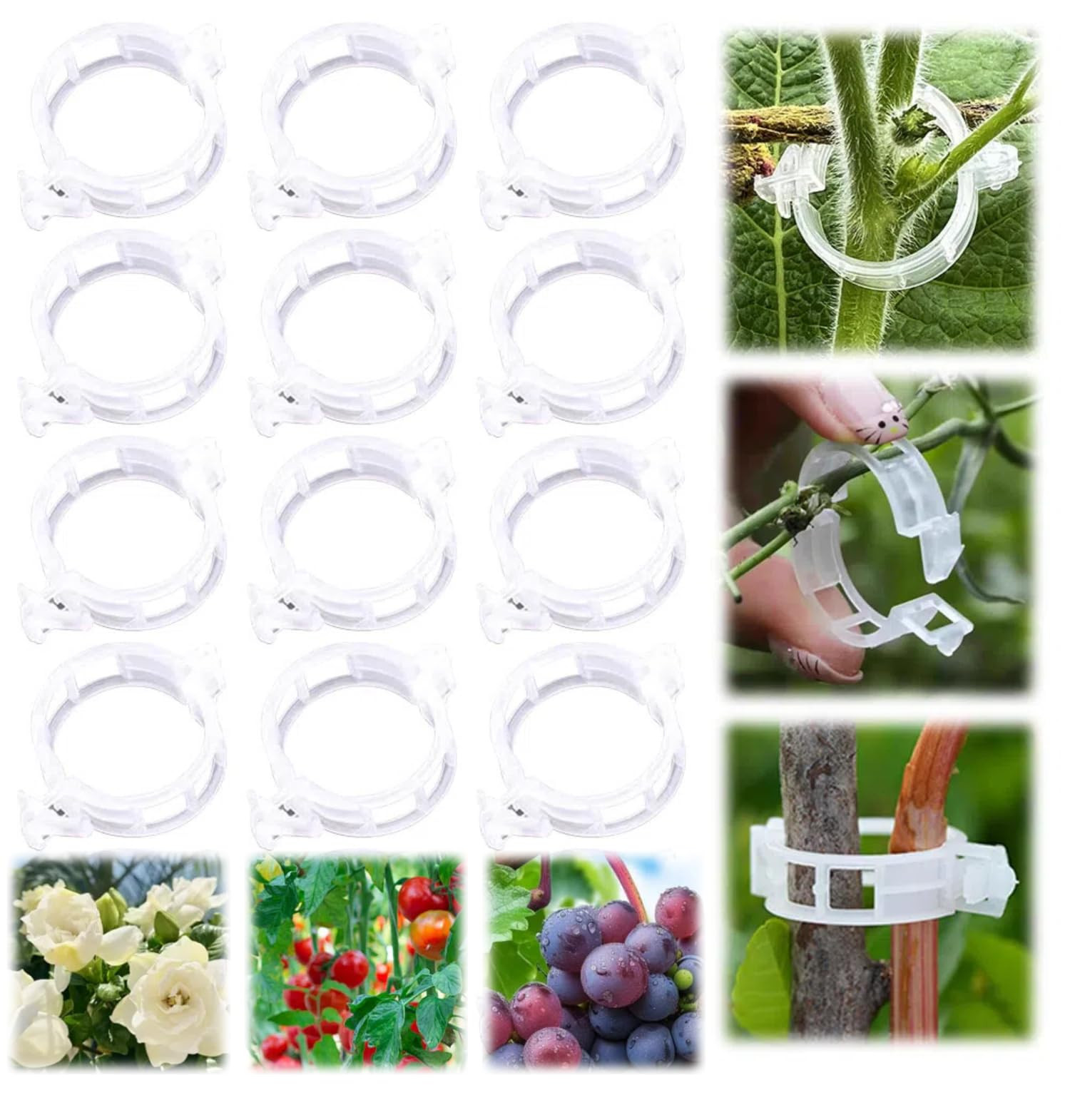 100Pcs 2025 Upgraded Plant Clip Secured Plastic Plant Clip for Climbing Plants, Plant Support Cli... | Amazon (US)