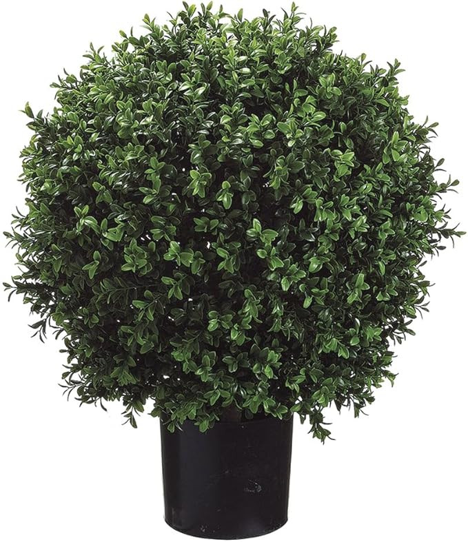 BOTARO TRESIL Set of 2 - Pre-Potted 24" High Ball Shaped Boxwood Topiary- 16" Diameter - Plastic ... | Amazon (US)