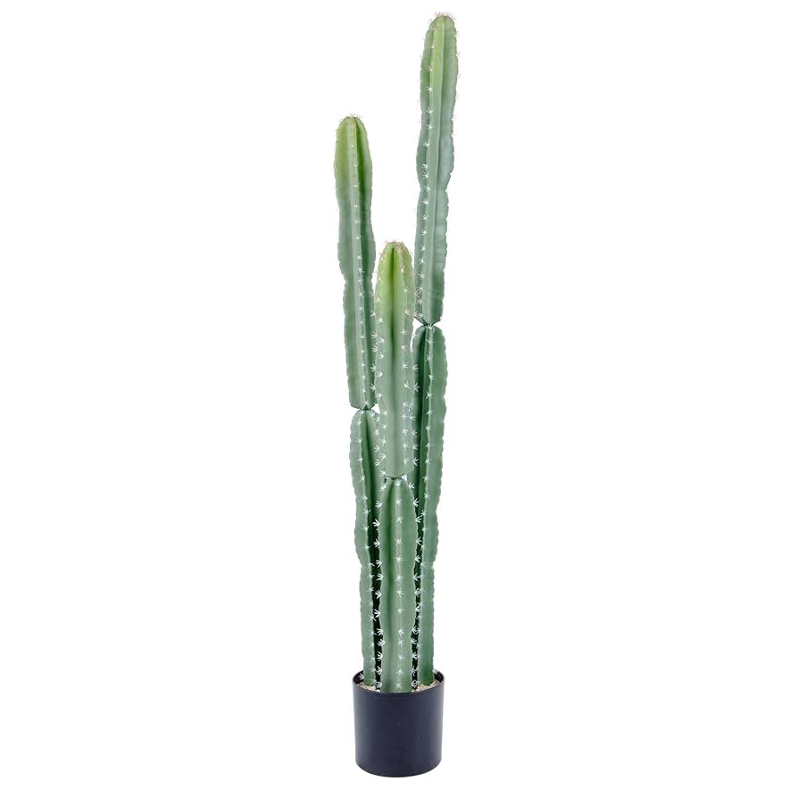UV Resistant 5ft Large Artificial Cactus with Black Pot, 60in Realistic Faux Plants Indoor, Lifel... | Amazon (US)