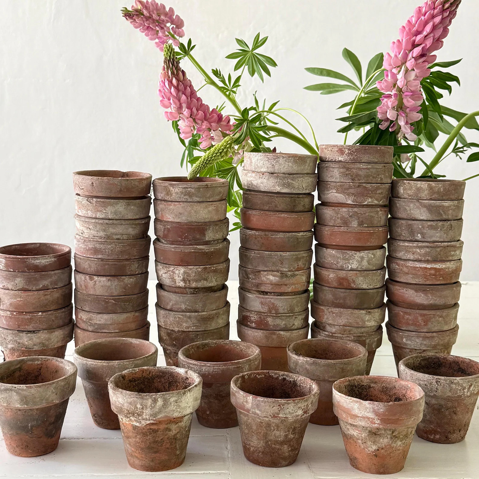 Lot French Vintage Terracotta Plant Pots | Etsy (Global)