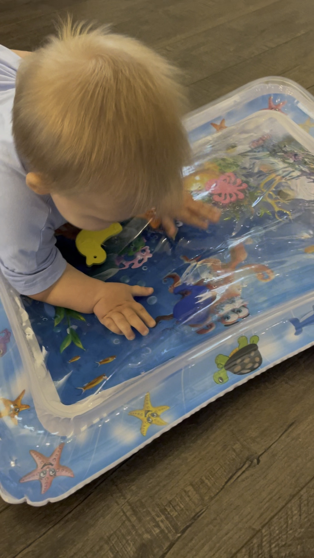 This tummy time water mat is a MUST have. My toddler even loves it

#LTKBaby #LTKKids #LTKFamily