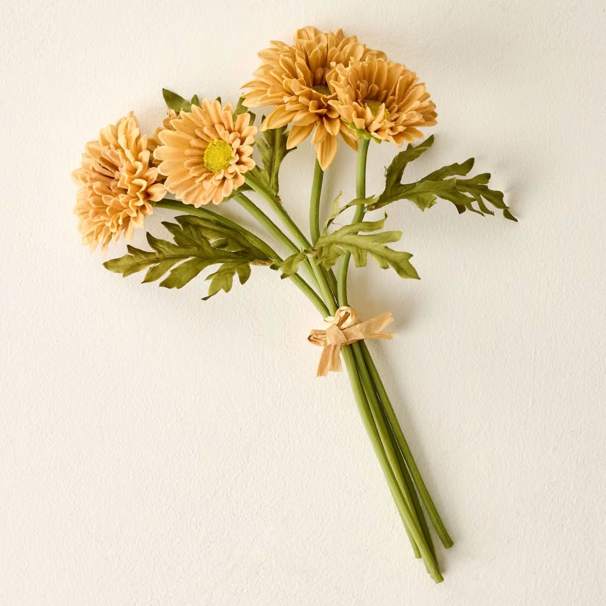 Wheat Mini Zinnia Bundle | Magnolia