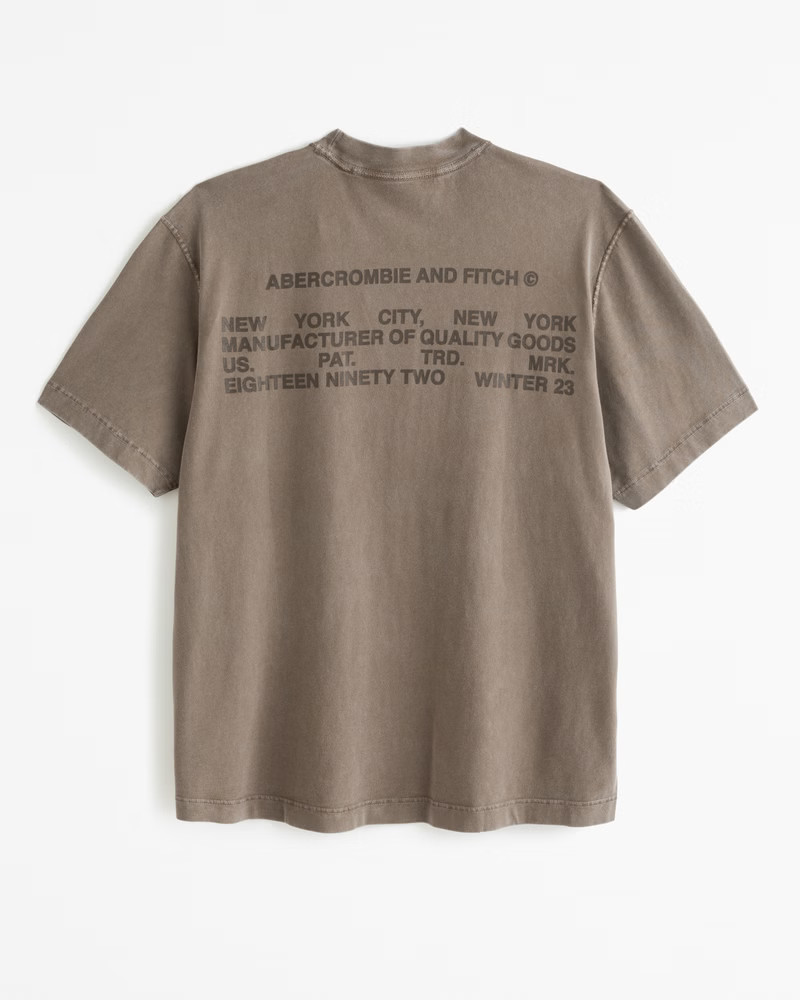 Vintage-Inspired Micro-Logo Tee | Abercrombie & Fitch (US)