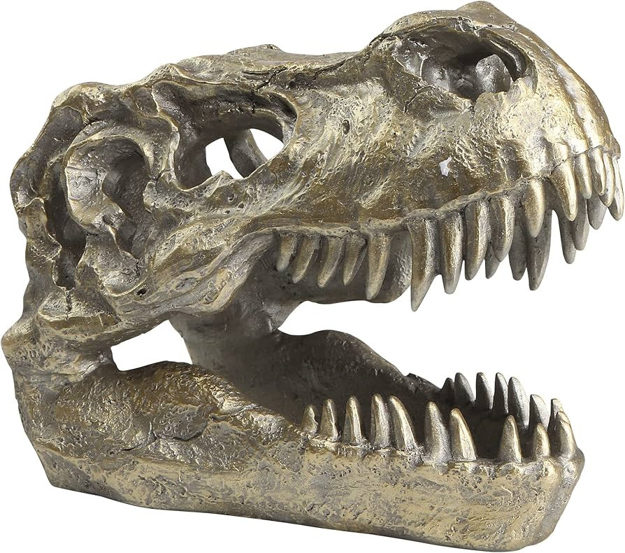 HEINBOW T-rex Skull Dinosaur Head Trophy Faux Taxidermy Statue Tyrannosaurus Rex Head Skull Sculp... | Amazon (US)