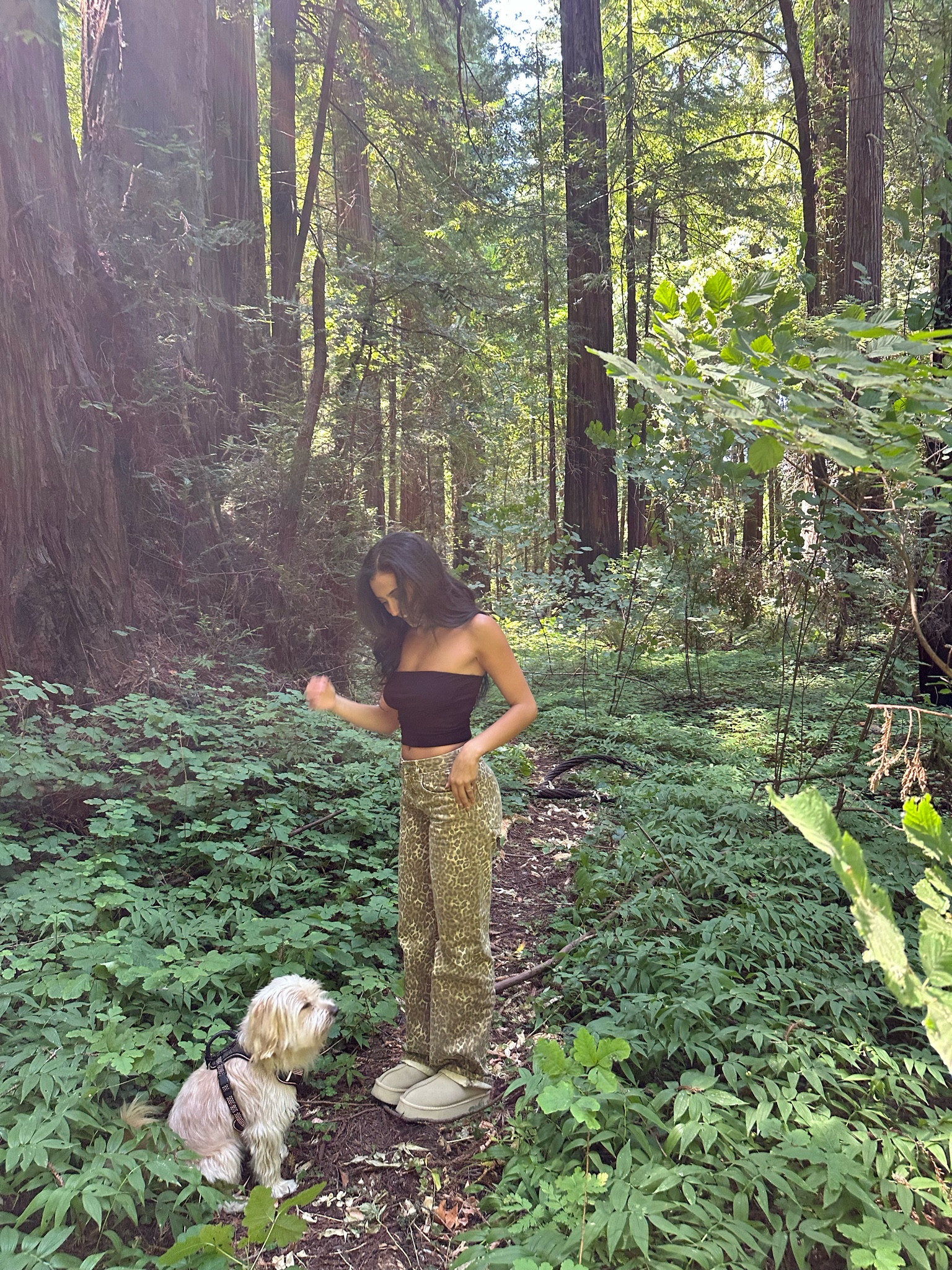 jungle feverrr🐆

#LTKFindsUnder100 #LTKSaleAlert #LTKStyleTip