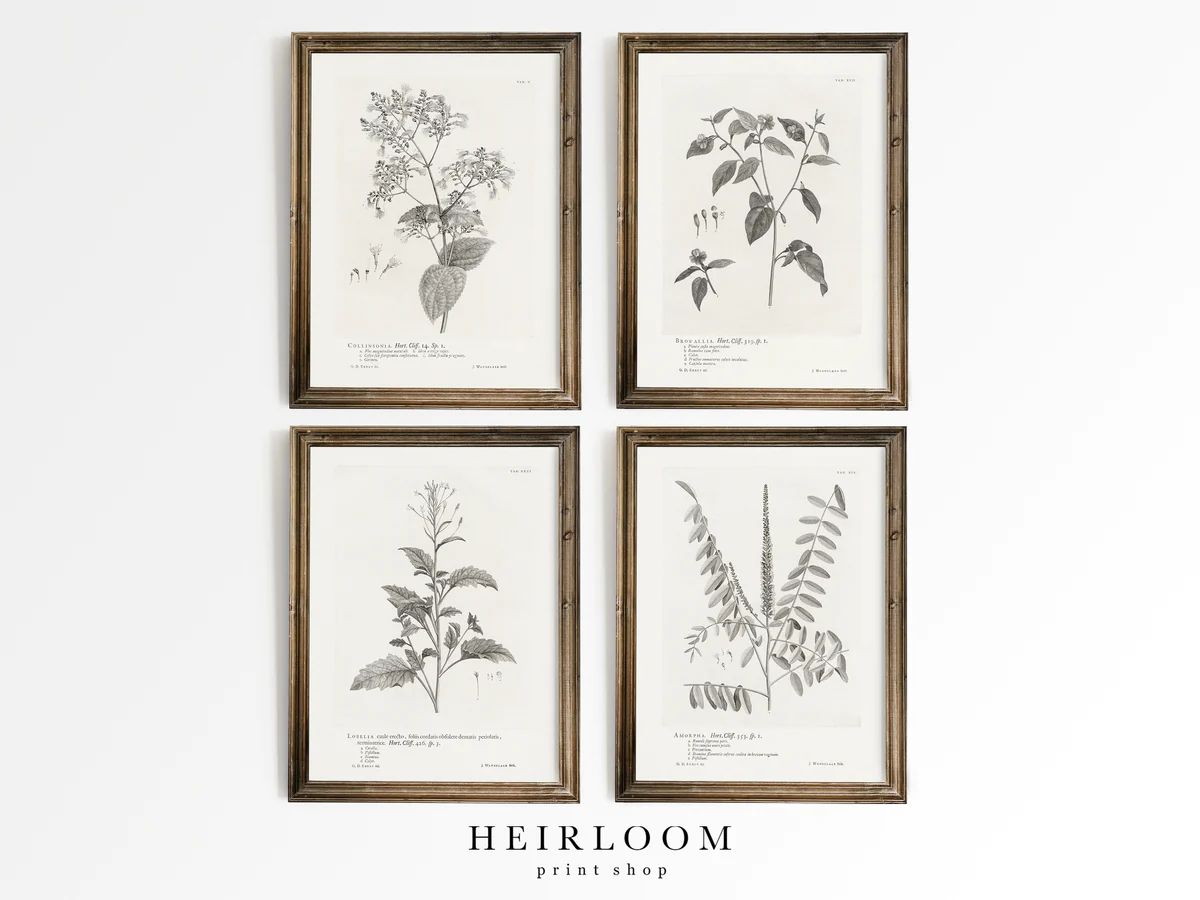 Oversized Botanicals | Heirloom Print Shop