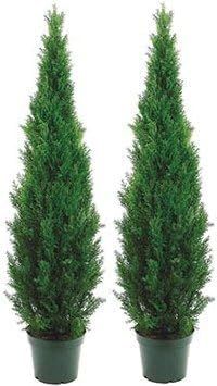 Two 5 Foot Outdoor Artificial Cedar Topiary Trees Potted Plants Two Peace Construction | Amazon (US)