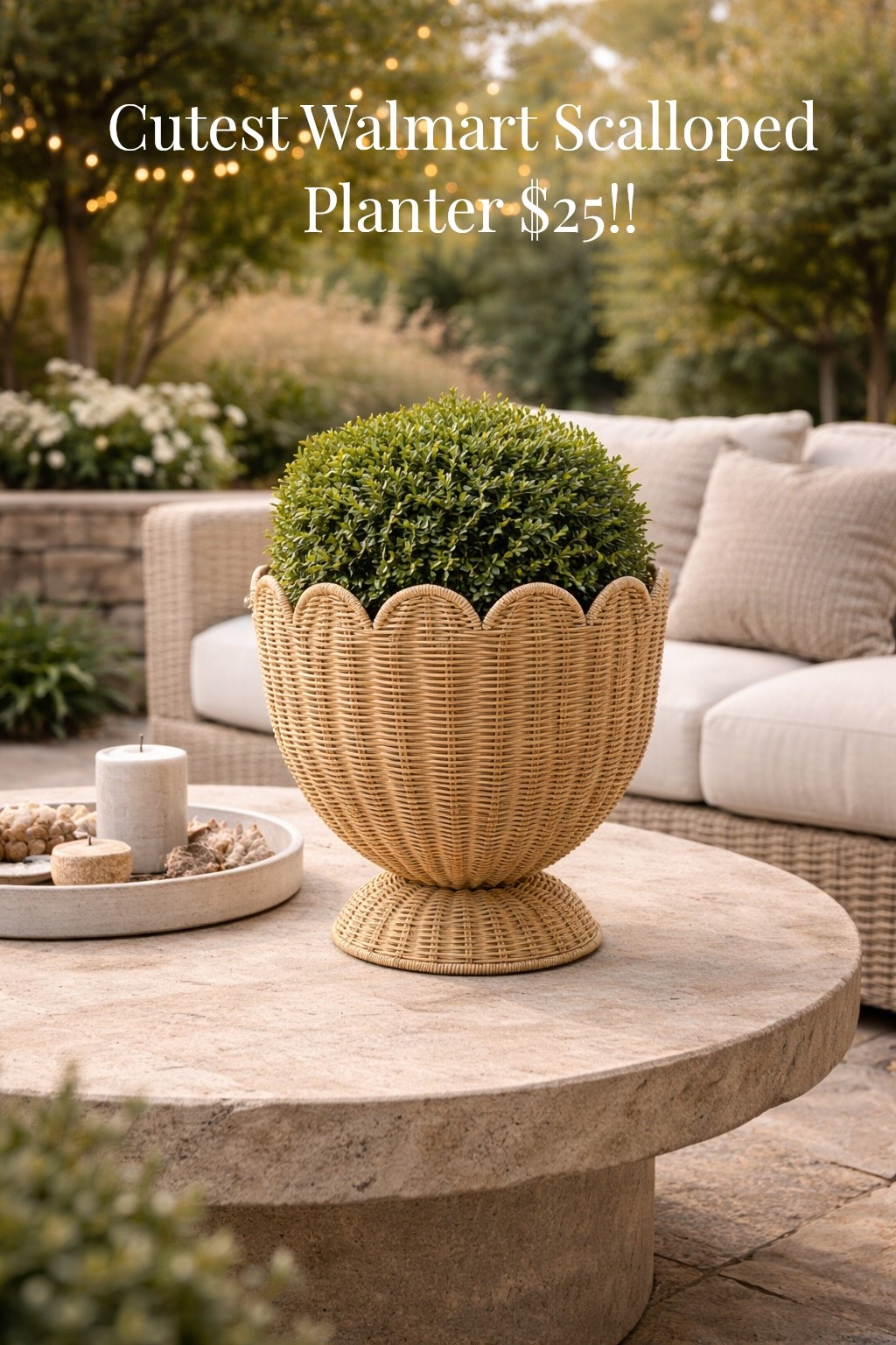 Walmart
Planter
Porch decor 
Spring decor 

#LTKHome #LTKSeasonal