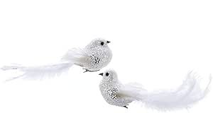The Bridge Collection White Glittered & Feathered Clip-On Bird Ornaments, Set of 2 | Amazon (US)