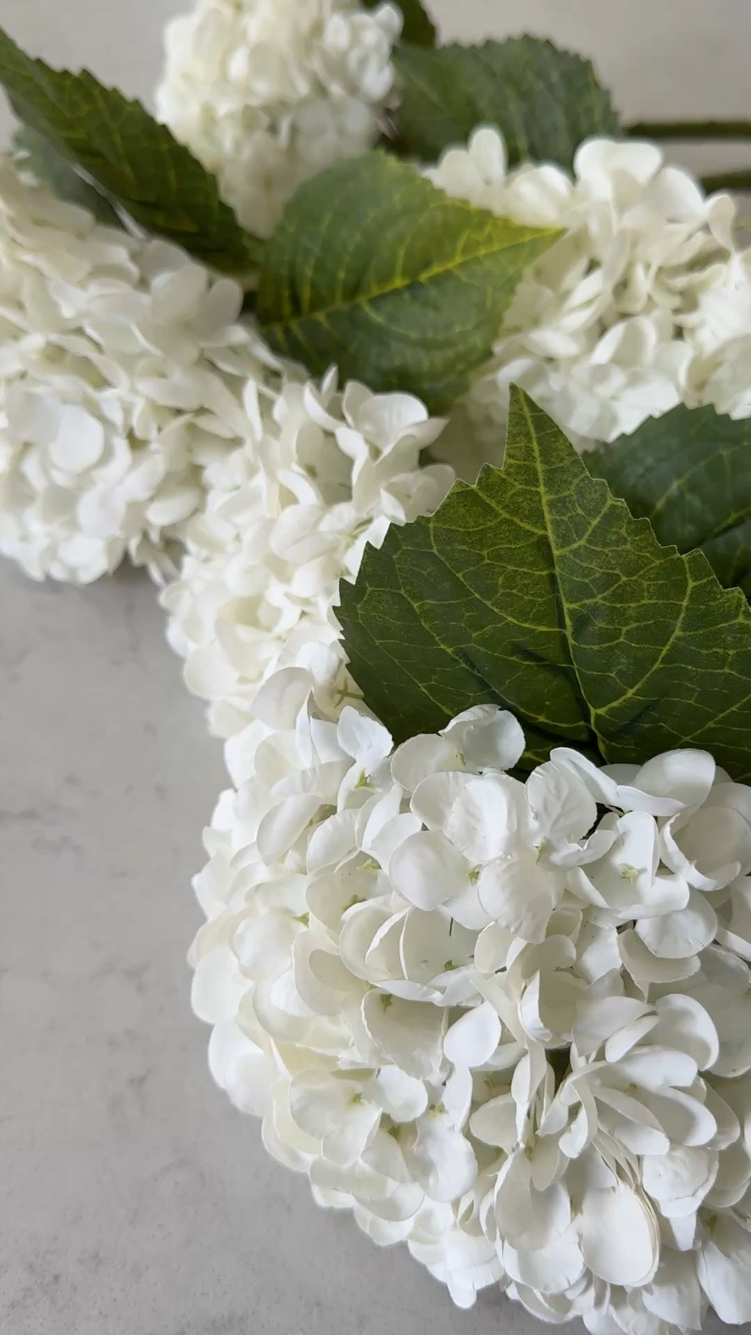 My favorite artificial hydrangeas for summer -- I love how real both the flowers and stems look, so I can use them in clear vases! #summerdecor 



#LTKHome #LTKSeasonal #LTKFindsUnder50