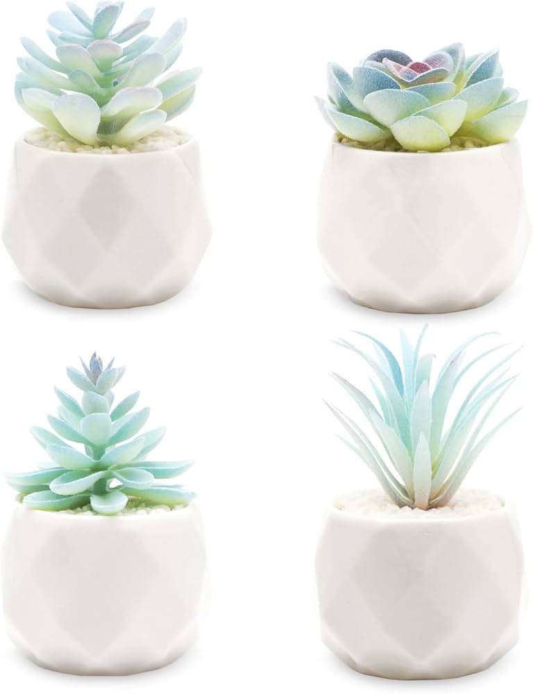 VIVERIE Mini Blue Artificial Succulent in Pots (White Ceramic, 4 Pot Set) Fake Plants for Indoors... | Amazon (US)