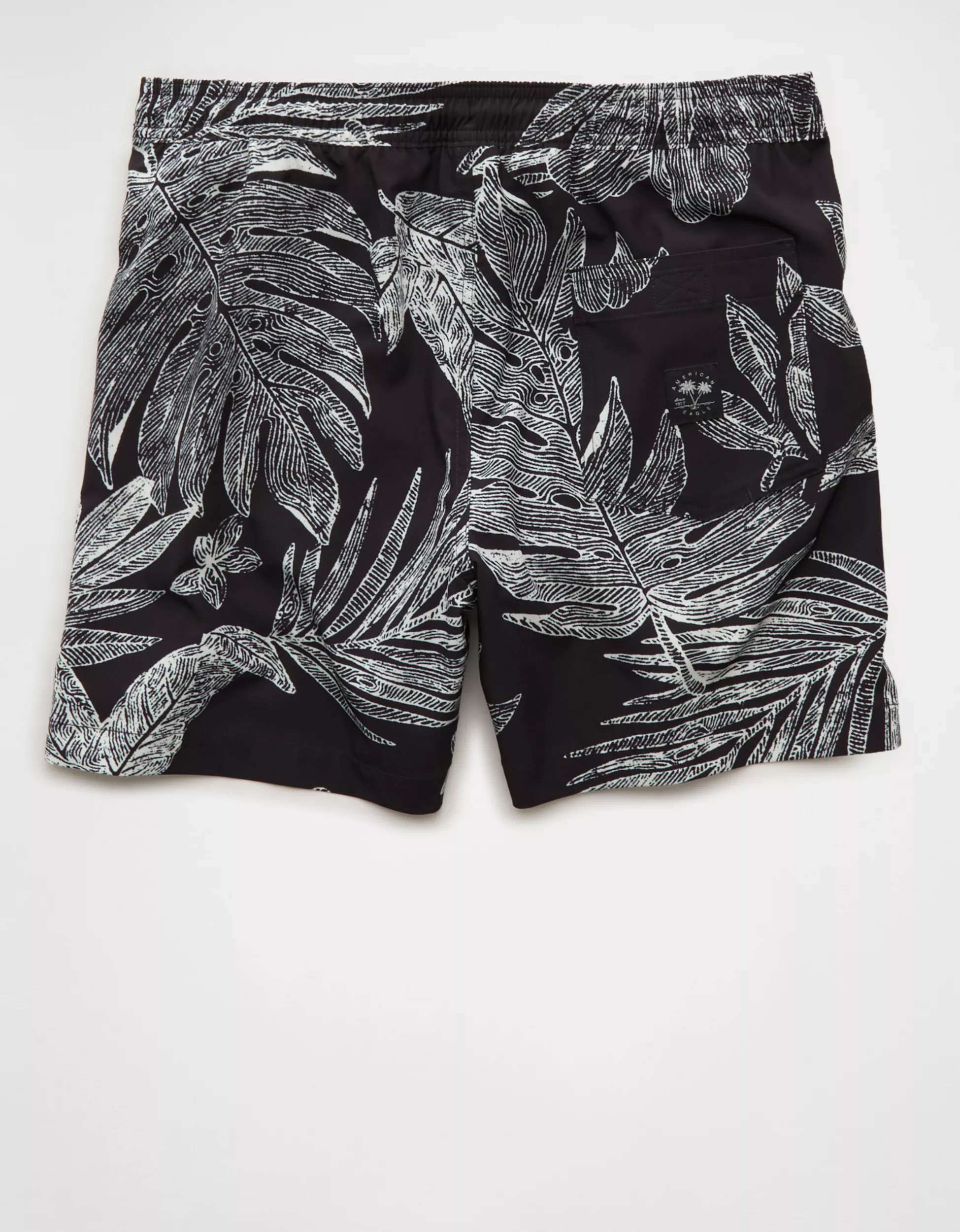 AE 5" Flex Swim Trunk | American Eagle Outfitters (US & CA)