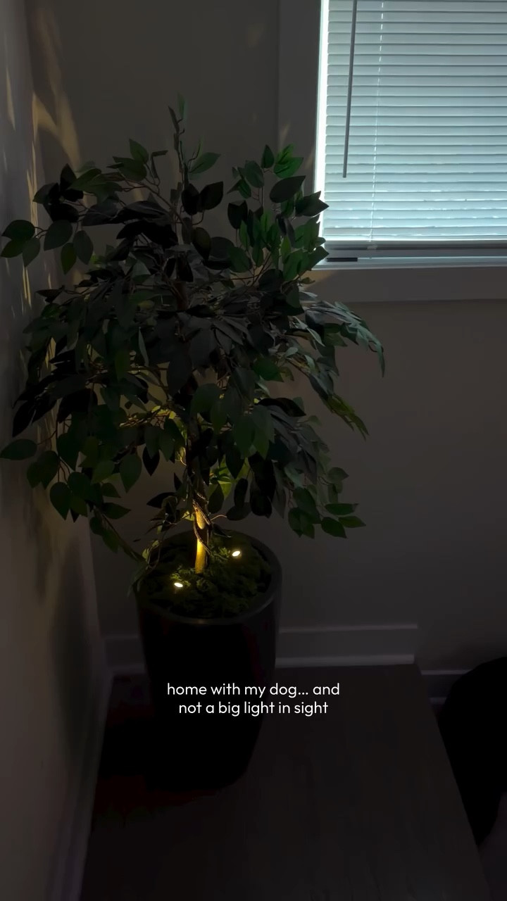 home with my dog… and not a big light in sight 🕯️

just our little evening routine of soft lights, quiet rooms, and her glued-to-me presence like it’s her full-time job

there’s something about turning the big lights off and letting the whole house feel a little slower

this is my kind of reset 🤍

@glowwarmy_official
#myglowwarmy #glowwarmy