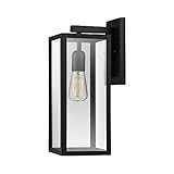 Bowery 1-Light Outdoor Indoor Wall Sconce, Matte Black, Clear Glass Shade,44176 | Amazon (US)