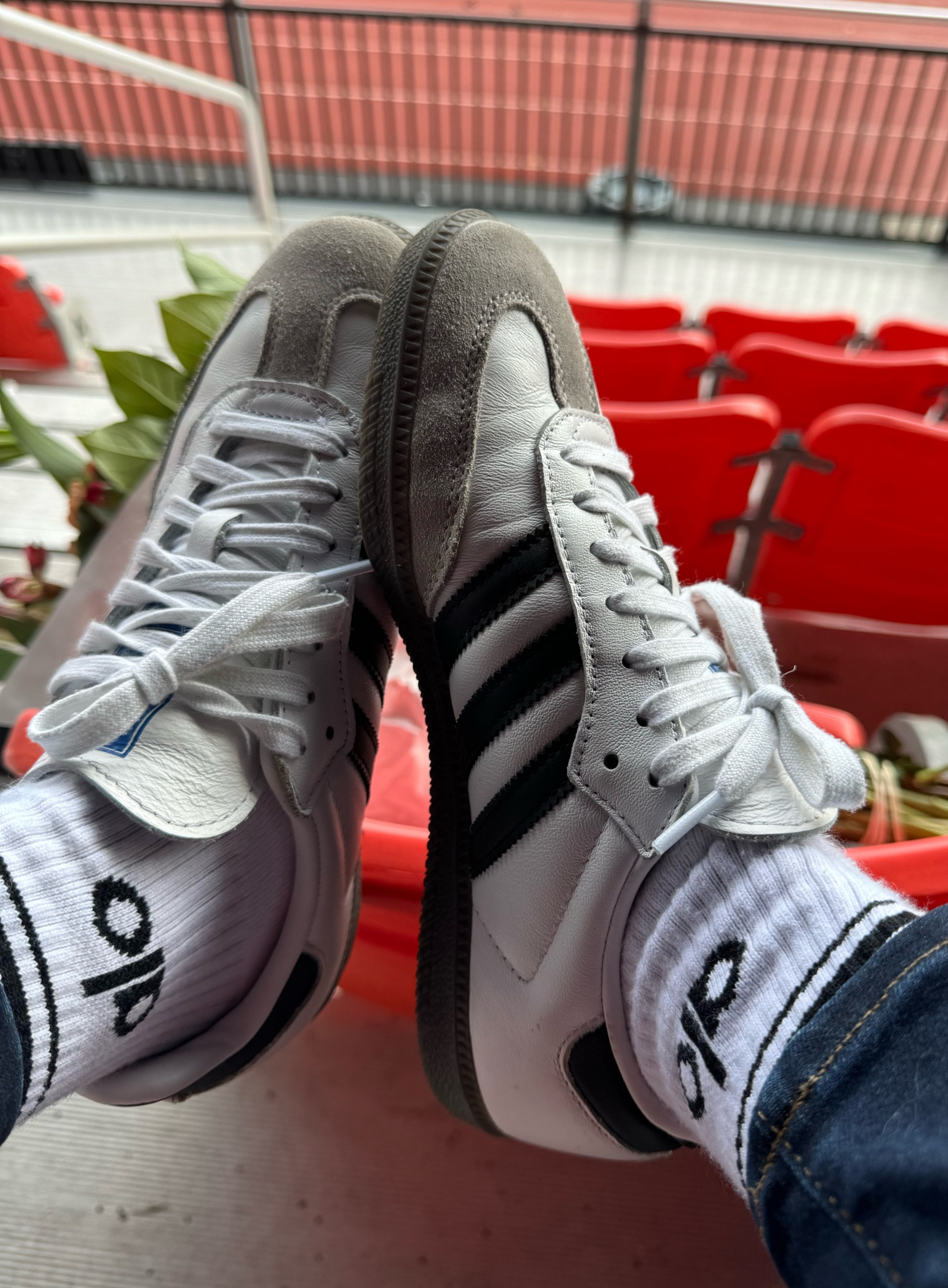 adidas gazelle silver green womens ADIDAS SAMBA OG BLACK WHITE  BLENDS