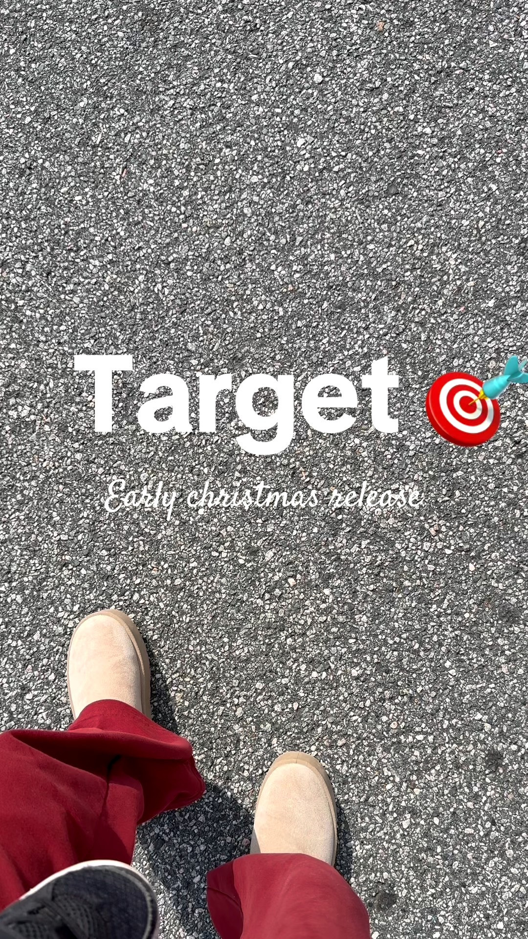 Target christmas 

#LTKHome #LTKSeasonal #LTKFindsUnder100