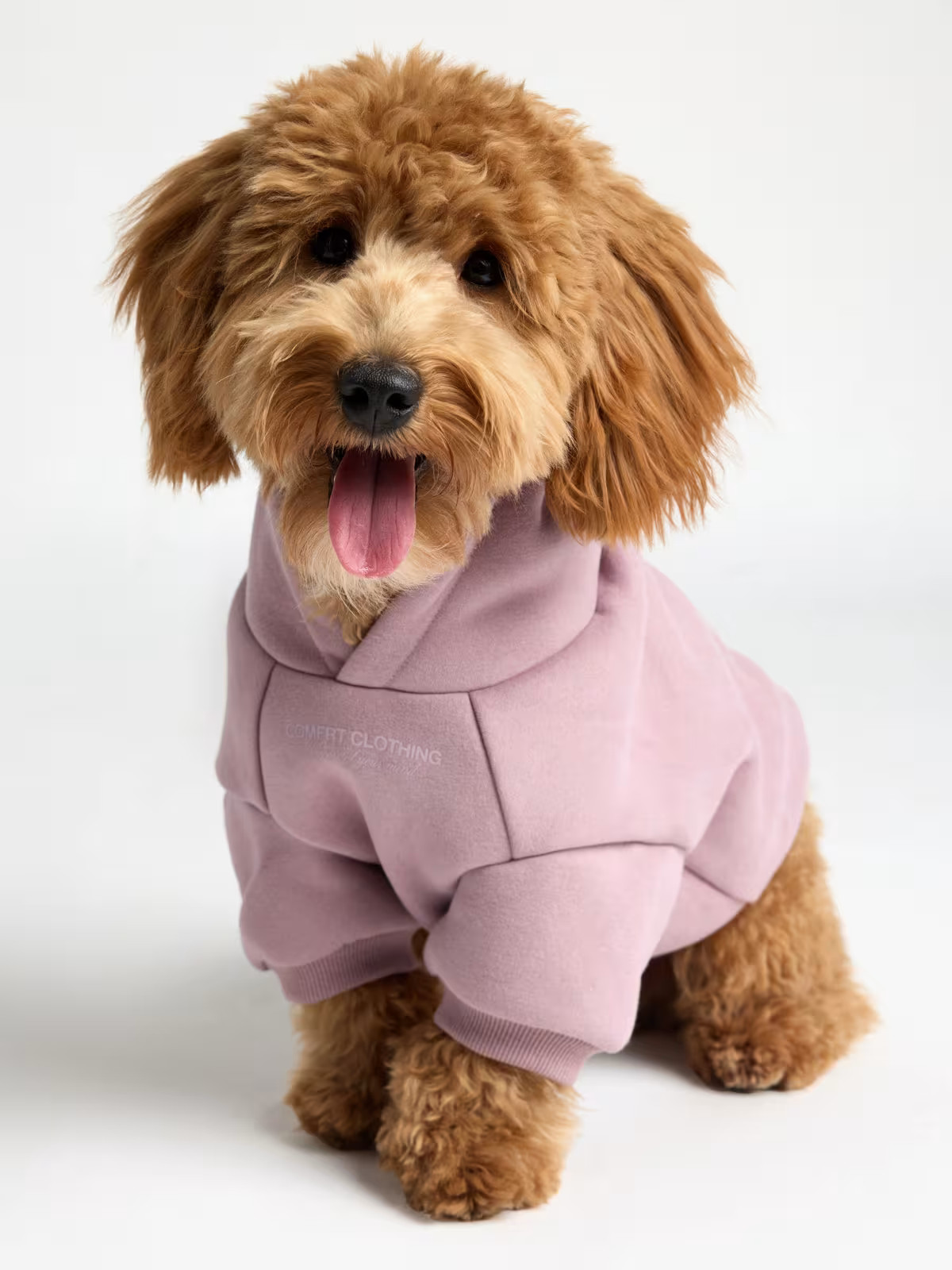 You Matter Paw Hoodie | Comfrt