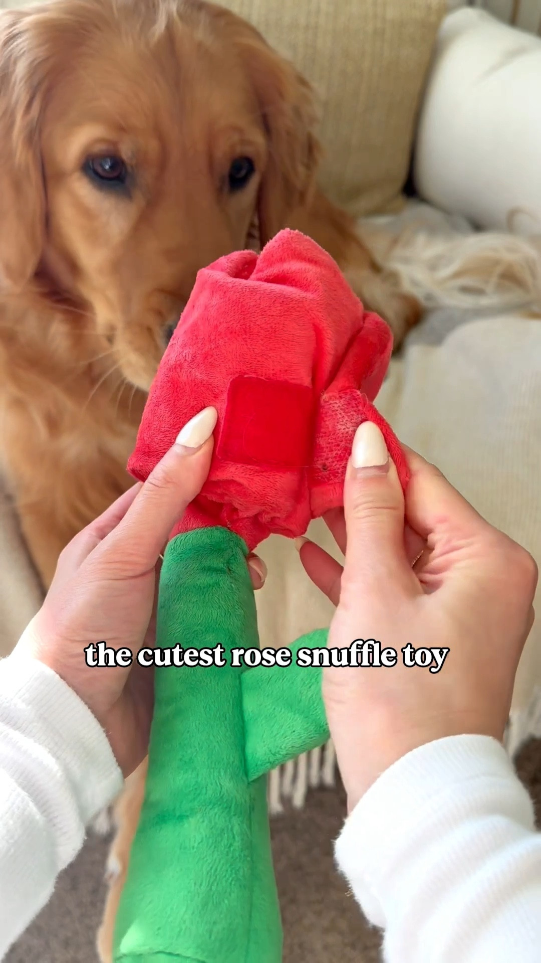 The cutest snuffle toy I’ve seen! 🥺🌹❤️ 