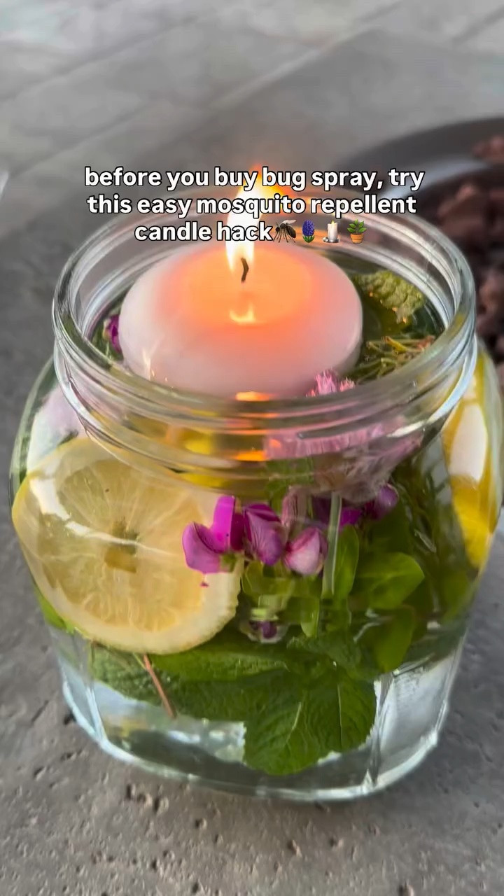 these DIY mosquito-repellent candles are easy to make, smell amazing, and help keep pesky bugs away when you’re enjoying summer nights with your kids🪴🪻

TO MAKE: you need fresh herbs like rosemary and mint, water, lemon slices, floating candles, citronella oil, a jar

Citronella, outdoor find, summer, summer outdoor, candles, candle, citronella candle

#mosquitorepellent #diy #momhack #summer #summernights