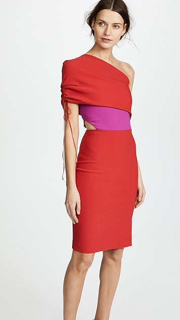 Briana One Shoulder Dress with Ruched Sleeve | Shopbop