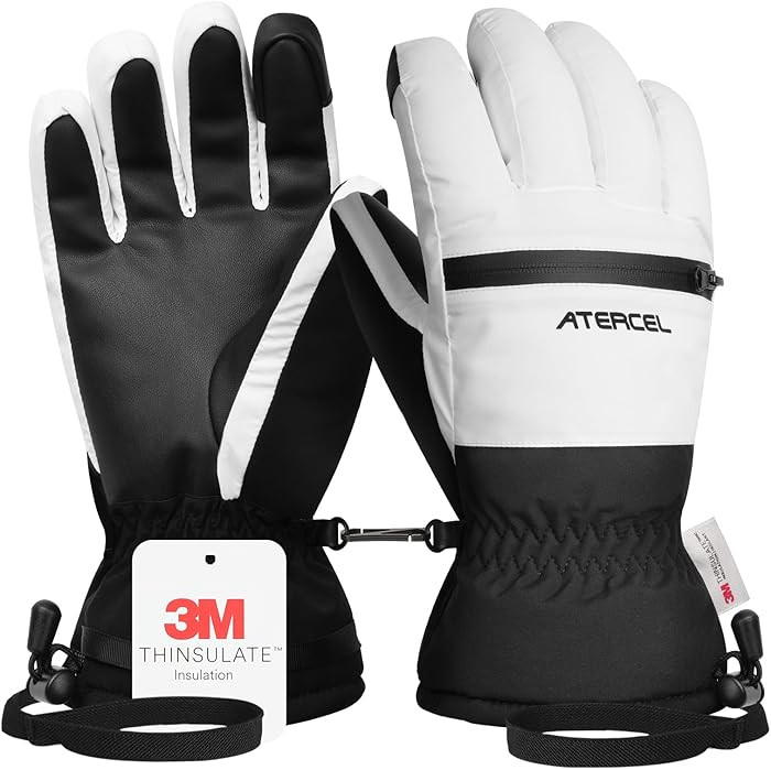Waterproof Ski Gloves, 3M Thinsulate Gloves | Amazon (US)