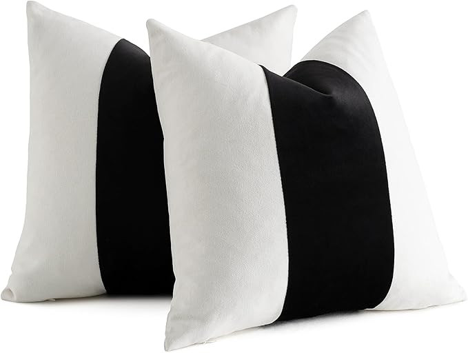 AmHoo Pack of 2 Velvet Panel Cotton Pillow Covers Decorative Pillowcase Cushion for Couch Sofa Be... | Amazon (US)