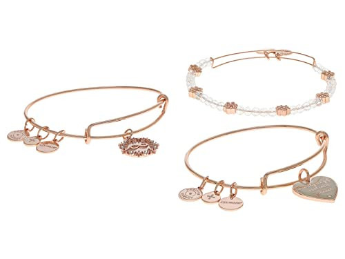 Alex and Ani Family Set of 3 Expandable Charm Bangle Bracelet, Shiny Rose Gold Finish, 2 to 3.5 in | Amazon (US)