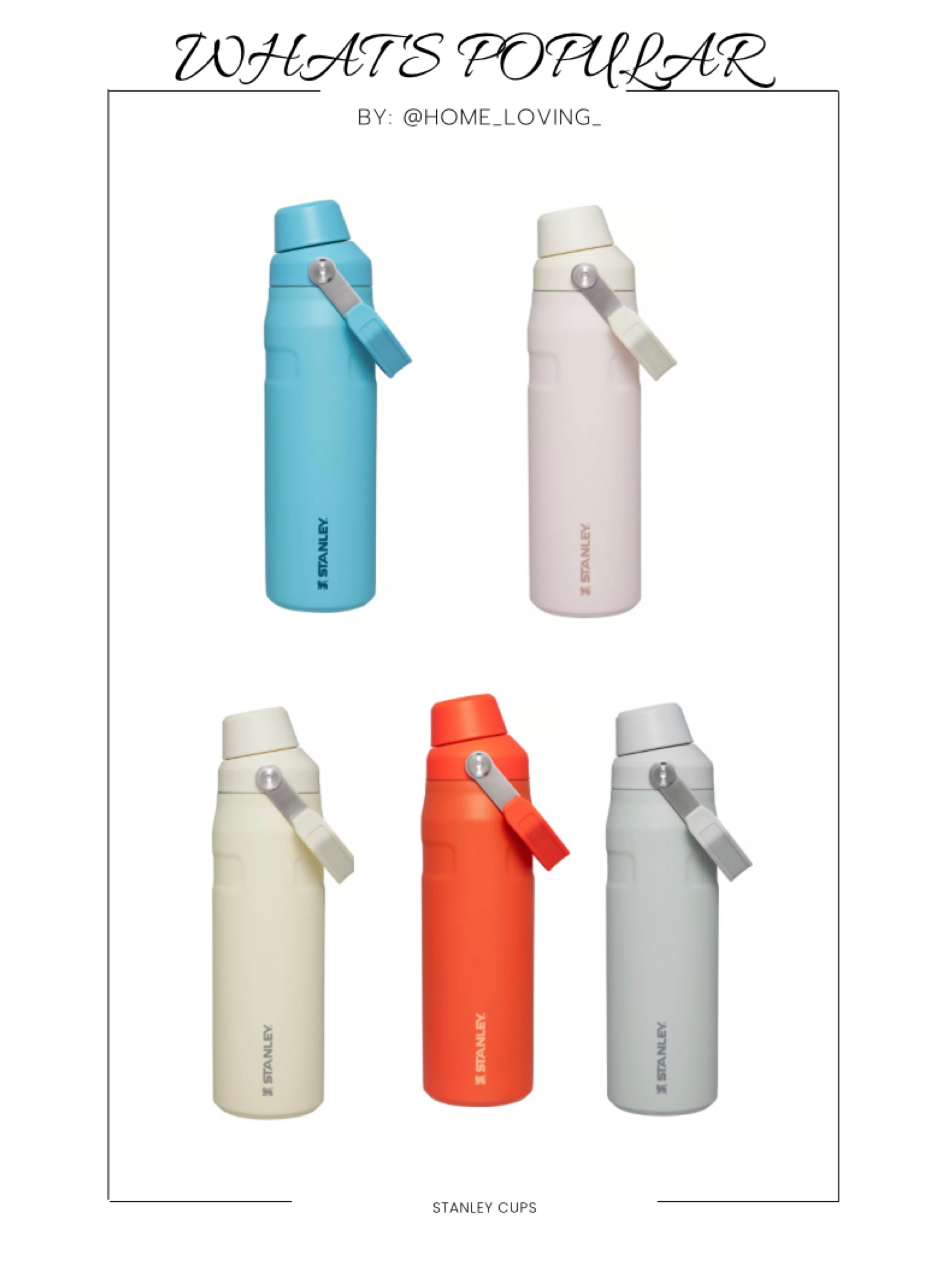 New Stanley cups!

#LTKfitness #LTKbeauty #LTKfamily