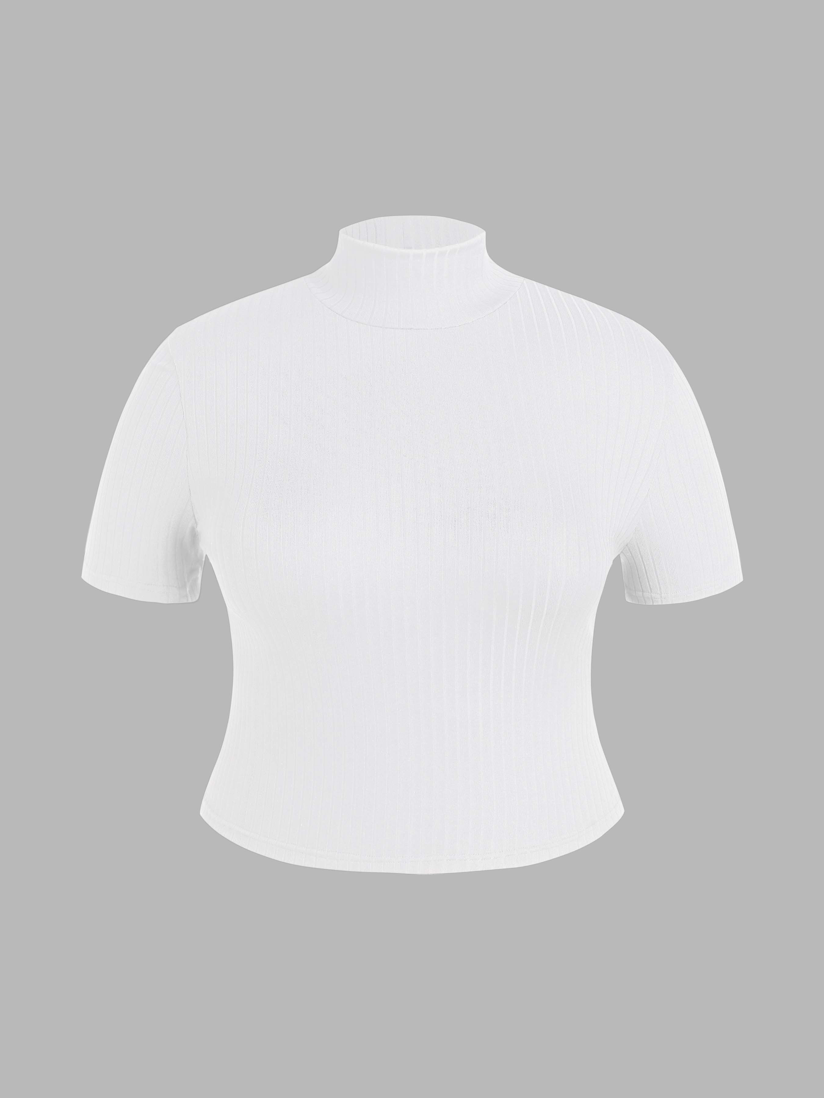 Knit Fabric Rib High Neck Solid Short Sleeve Tee Curve & Plus For Daily Casual Exhibition Work | Cider