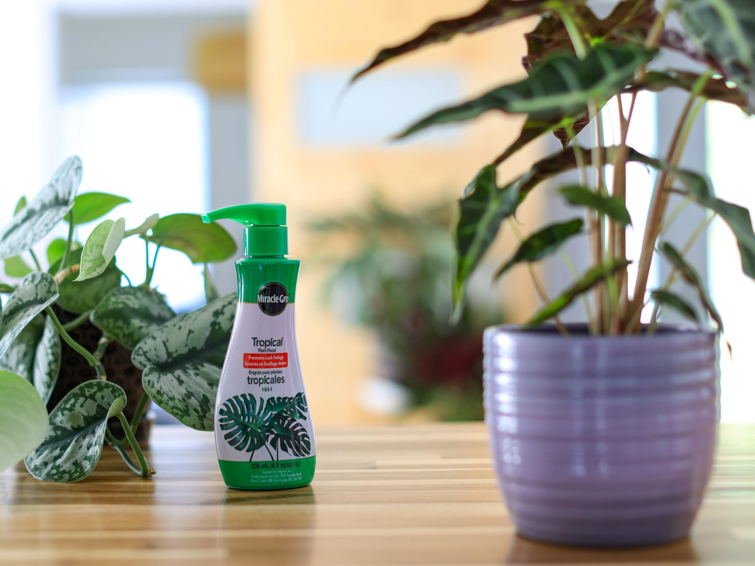 Tropical Plant Food 1-0.5-1 236mL | Amazon (CA)