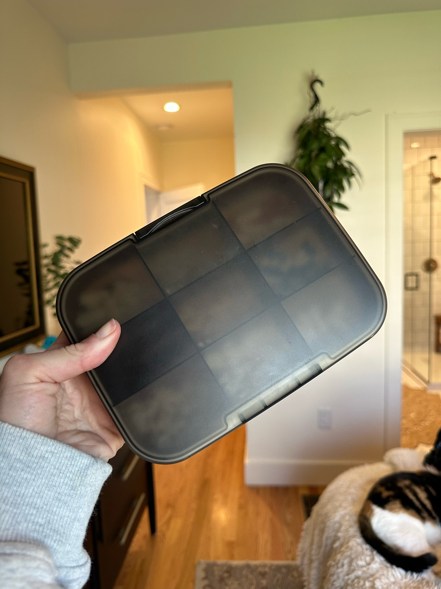 Comes with labels, and the dividers are removable! 

#LTKhome #LTKFind