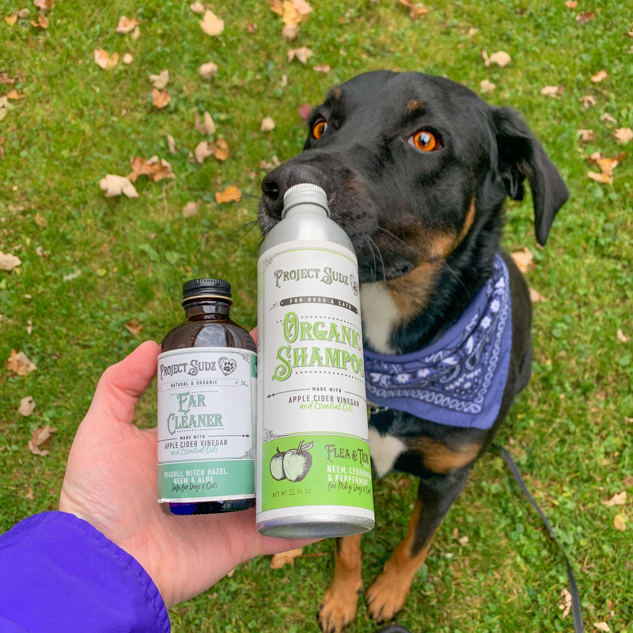 Get 20% off our favorite natural ear cleaner, flea & tick spray, and shampoo at Vitacost!
.
.
.
.
#dogmom #fleas #ticks #fleanandtick #dogs

#LTKHome #LTKPets #LTKFamily