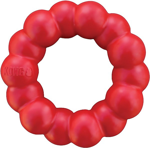 KONG Ring Dog Toy | Chewy.com